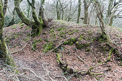 Caerphilly tunnel ventilation shaft No3 waste tips, March 2019