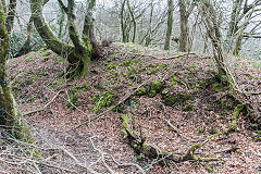 
Caerphilly tunnel ventilation shaft No3 waste tips, March 2019