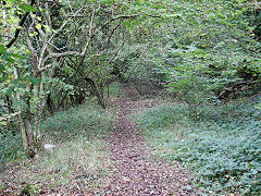 Duchy Quarry siding, St Brides Major, near Bridgend, October 2021
