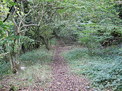 
Duchy Quarry siding, St Brides Major, near Bridgend, October 2021