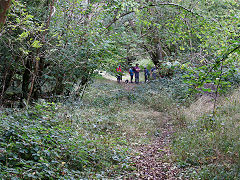 
Duchy Quarry siding, St Brides Major, near Bridgend, October 2021