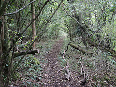 Duchy Quarry siding, St Brides Major, near Bridgend, October 2021
