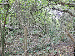 
Duchy Quarry siding, St Brides Major, near Bridgend, October 2021