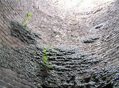 
The interior of the old kilns, Aberthaw Pebble Limeworks, May 2010