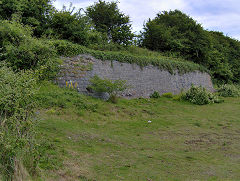 
Aberthaw Pebble Limeworks, the wharf on the sea bank in front of 'Pleasant Harbour', June 2009