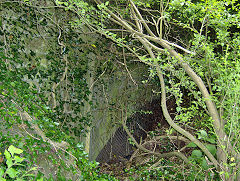 
TVR line Well Road bridge No 47, Aberthaw, June 2009