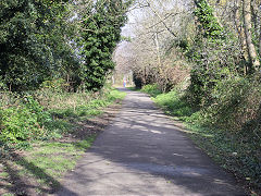 
The TVR towards Alberta Road, March 2022