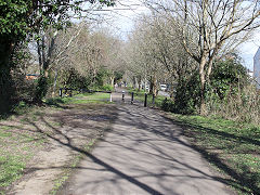 
The TVR near Alberta Road halt, March 2022