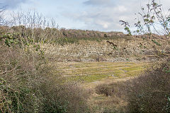 Porthkerry lower quarry, February 2015
