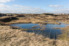 
East Quarry, Rhoose, February 2015