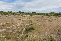 West Quarry, Rhoose, July 2016