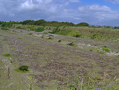 
West Quarry, Rhoose, June 2009,