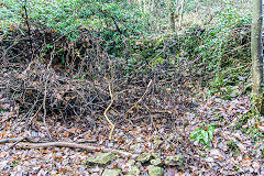 Limekiln near Castle-upon-Alun, St Brides Major, December 2016