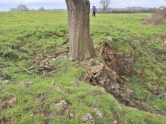 Limekiln near Goldsland Wood, between Duffryn and Wenvoe, March 2022
