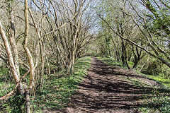 
Trackbed to the South near Rhydlafr, April 2015