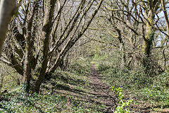 
Trackbed to the North near Rhydlafr, April 2015