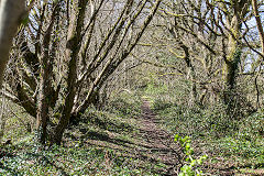 Trackbed to the North near Rhydlafr, April 2015