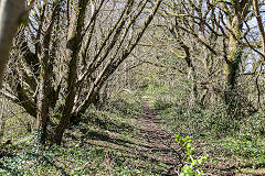 
Trackbed to the North near Rhydlafr, April 2015