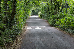 The tramroad along the Pen-y-fai Road, September 2020