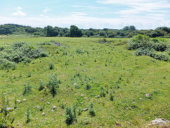 
Candleston Quarry, near Bridgend, July 2014