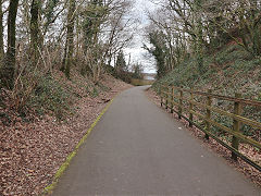Cwm Branch approaching Cross Inn, March 2025