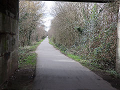 Cwm Branch near Talbot Green, March 2025