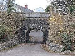 Cwm Branch at Maesaraul House, Cross Inn, March 2025