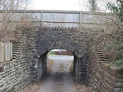 Cwm Branch at Maesaraul House, Cross Inn, March 2025