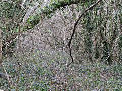 Llantrisant No 1 Railway trackbed at Cross Inn, March 2025