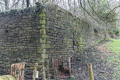 Meiros Colliery branch, Llanharan, March 2019
