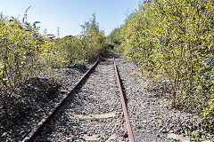 Sidings and shed area, Pontyclun, September 2015