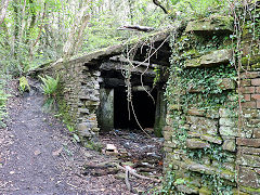 Coytrahen Park Colliery, May 2024