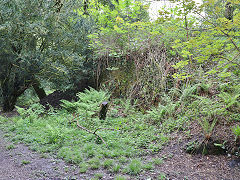 Coytrahen Park Colliery, the bridge to the tips, May 2024