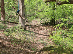 The DLPR below Tondu House, May 2024