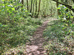The DLPR below Tondu House, May 2024