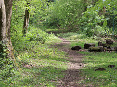 The DLPR below Tondu House, May 2024