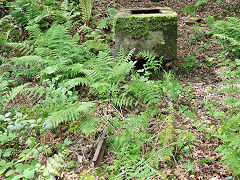 Tondu House quarry concrete block, May 2024