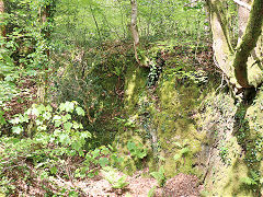 Tondu House quarry tramroad embankment, May 2024