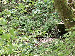 Tondu House quarry concrete block, May 2024