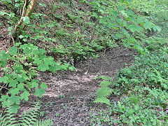 The leat beside Sir Robert Price's Tramroad, May 2024