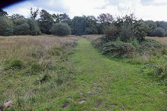 West Llantwit Colliery, Beddau, Eastern trackbed, September 2019