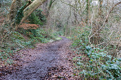 
The Pentyrch Ironworks railway, January 2016