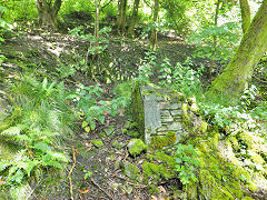 
Mount Pleasant Cottages, Gwaelod-y-garth, June 2014