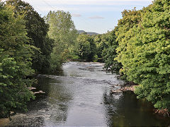 
Old weirs on the River Taff near the works tailrace, July 2022