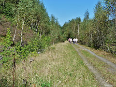 The Glamorganshire Canal near Buarth-glas Terrace, Pont-y-gwaith, September 2012
