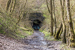 Abernant Tunnel, Rhyd-y-car, April 2019