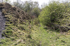 
The second incline from Cwmdu Colliery, April 2019