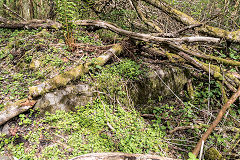 Cwm Pit concrete base which could be the shaft cap, Rhyd-y-car, April 2019