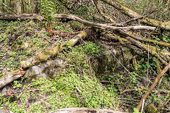 
Cwm Pit concrete base which could be the shaft cap, Rhyd-y-car, April 2019