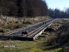 
Brecon Mountain Railway, New station at Torpantau, January 2006